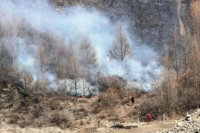 明火已撲滅，初步判斷由祭祀用火引發(fā)！今年已發(fā)生多起